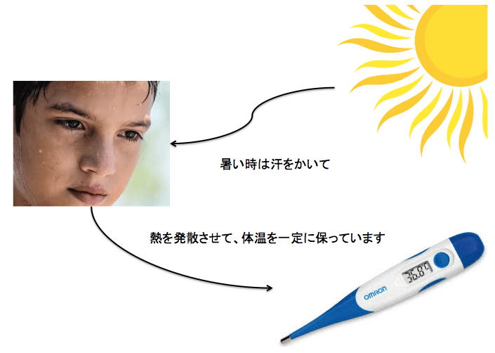 f:id:Dr-KID:20170729093721p:plain f:id:Dr-KID:20170729093721p:plain