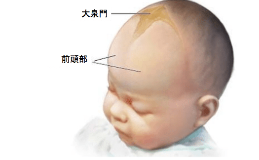 f:id:Dr-KID:20170830182807p:plain f:id:Dr-KID:20170830182807p:plain