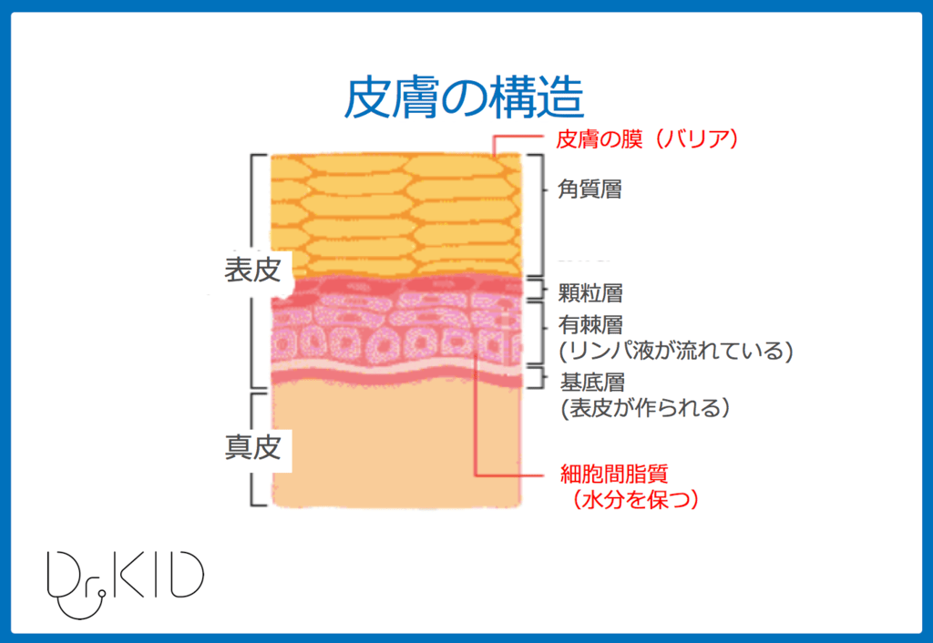 f:id:Dr-KID:20180915163436p:plain f:id:Dr-KID:20180915163436p:plain