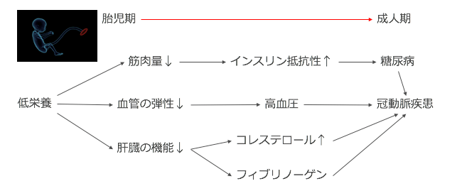 f:id:Dr-KID:20181014015309p:plain